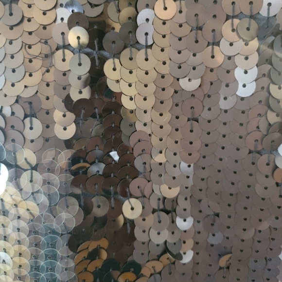 Express Sequined Mini Skirt Size 10 - Picture 2 of 4